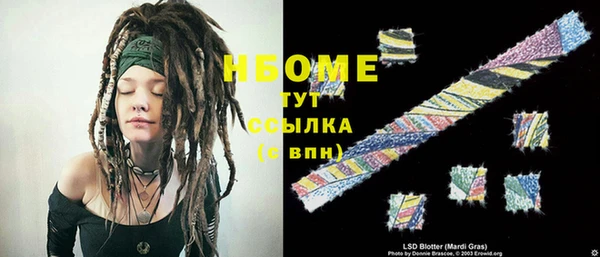 прущие грибы Волоколамск