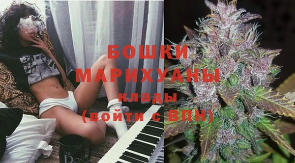 прущие грибы Волоколамск