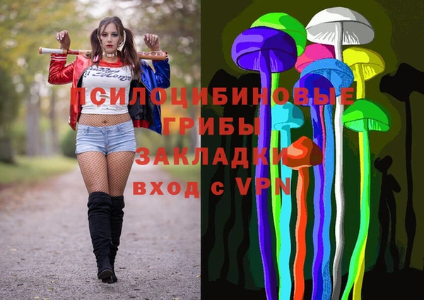 прущие грибы Волоколамск