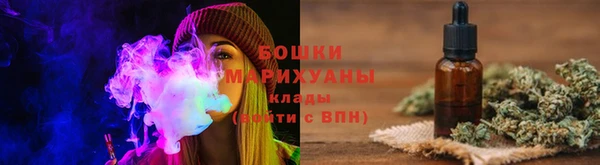 прущие грибы Волоколамск