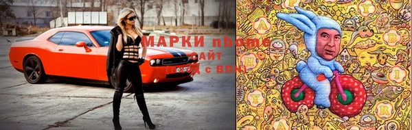 прущие грибы Волоколамск