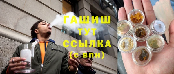 прущие грибы Волоколамск