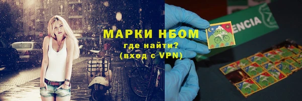 прущие грибы Волоколамск