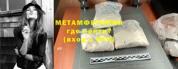 прущие грибы Волоколамск