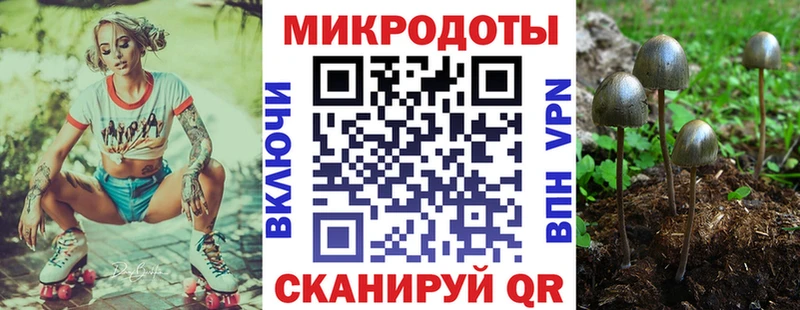 Псилоцибиновые грибы Psilocybine cubensis  мега рабочий сайт  Махачкала 